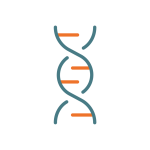 DNA